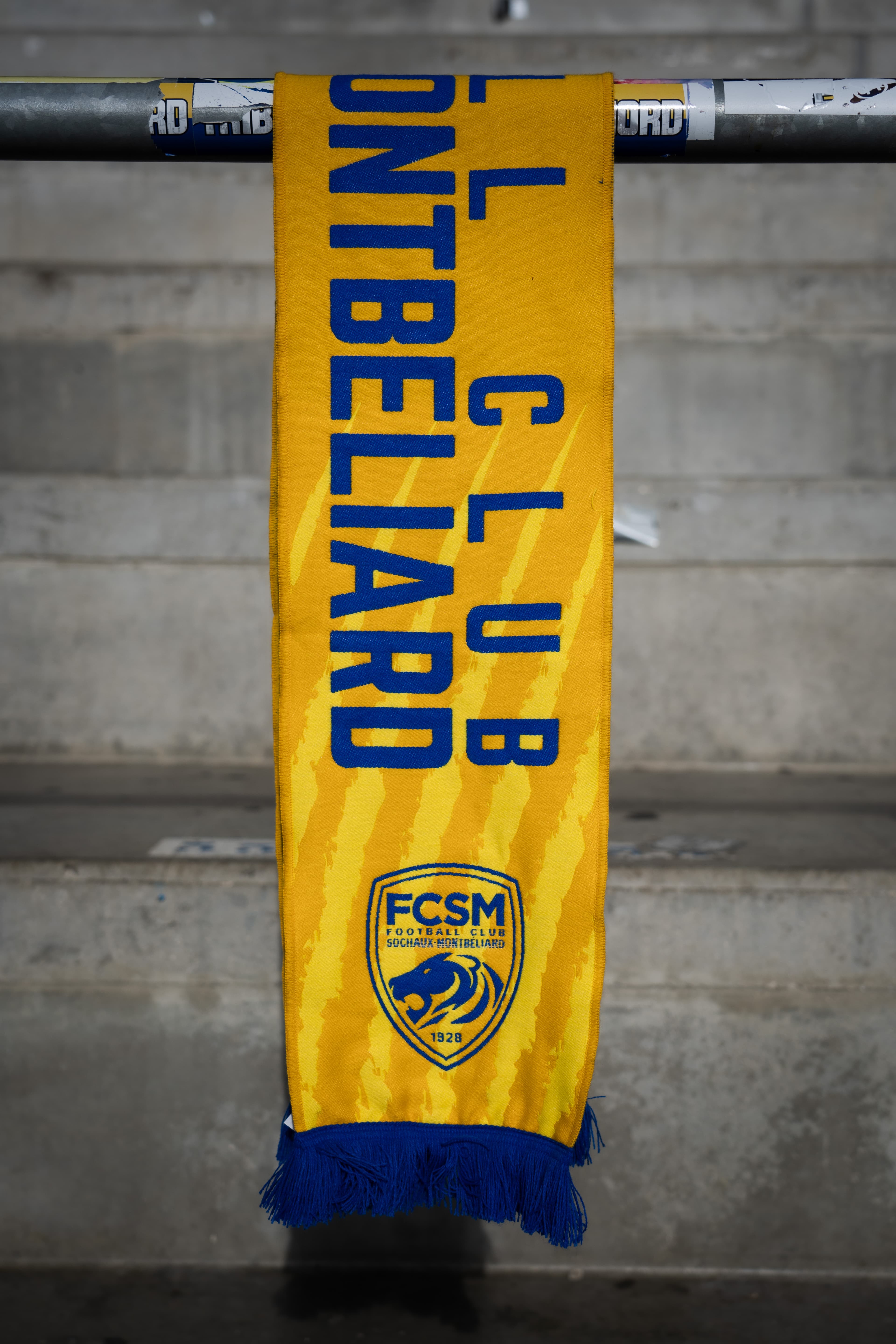 ÉCHARPE FCSM JAUNE GRIFFES