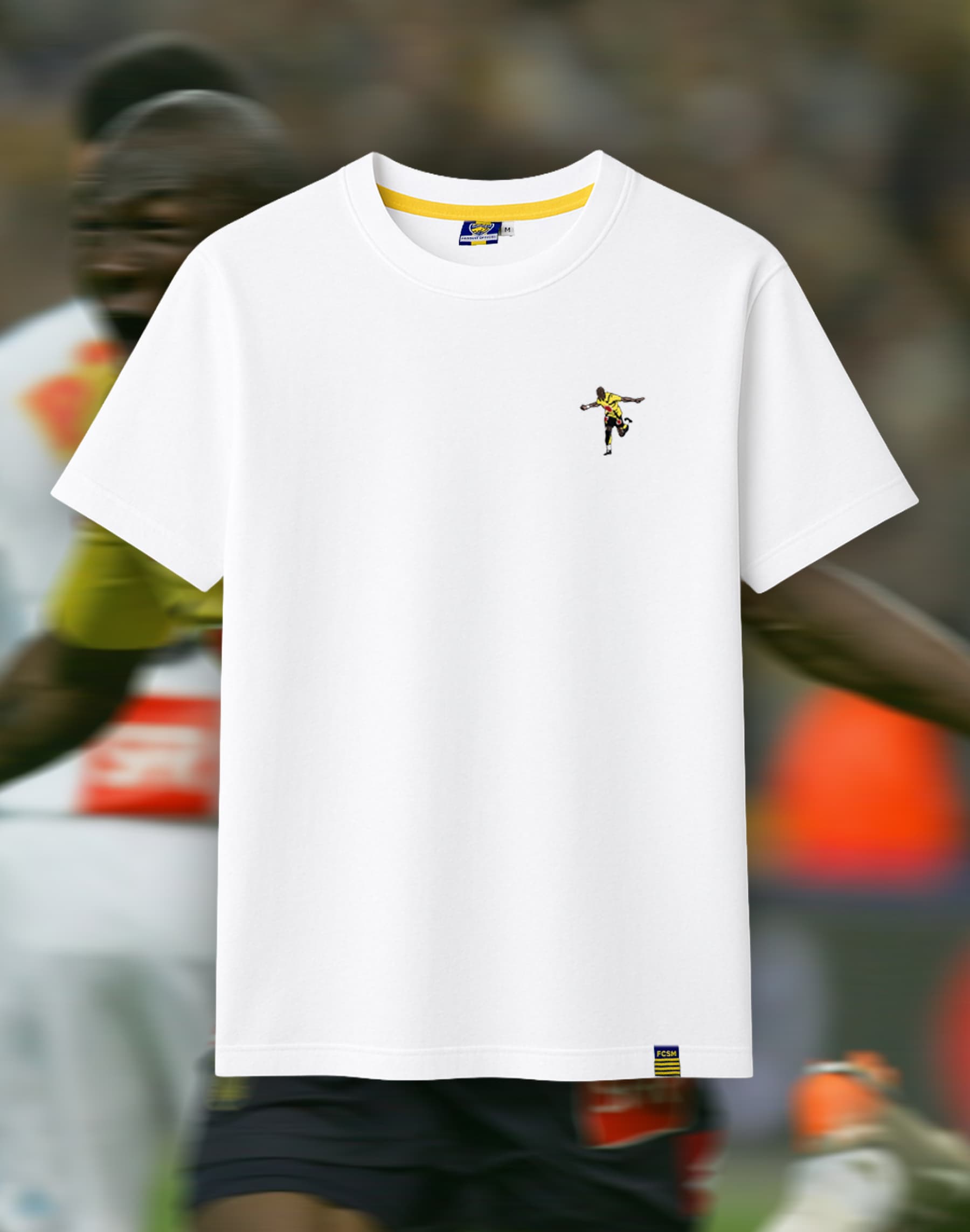 Écharpe Supporter FC Sochaux-Montbéliard (FCSM) – Brodée, Comme Neuve