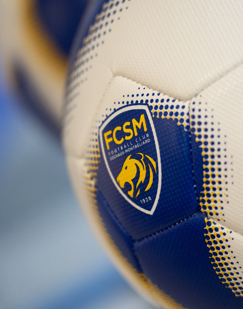 BALLON FCSM T5