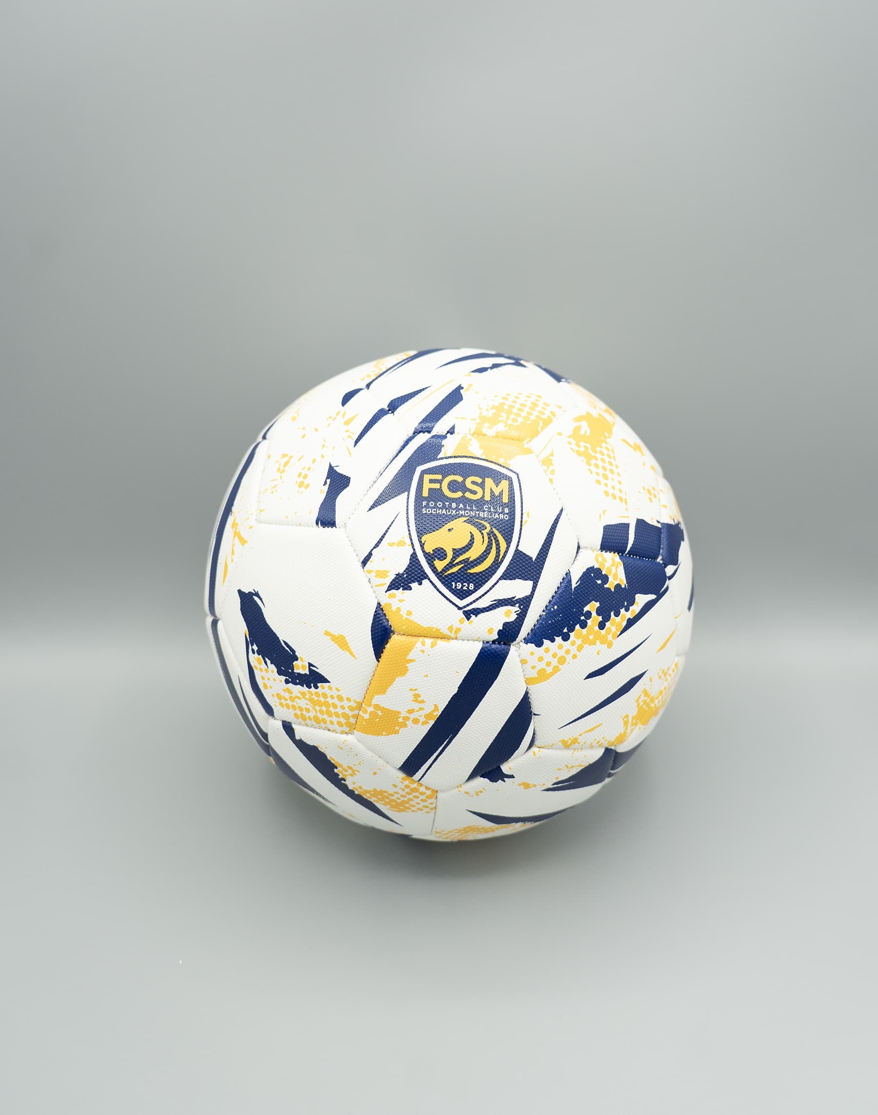 BALLON FCSM T5