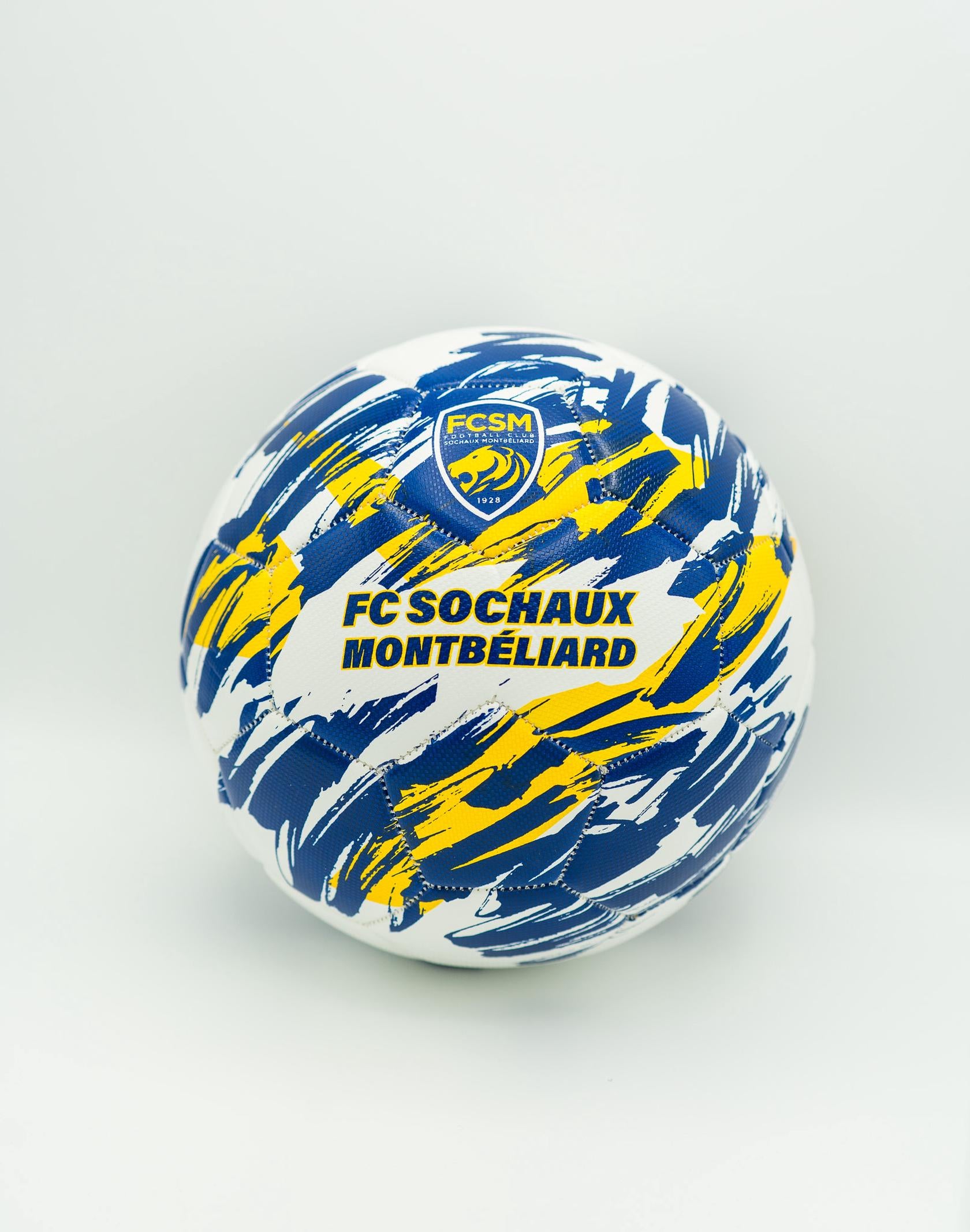 BALLON FCSM T5