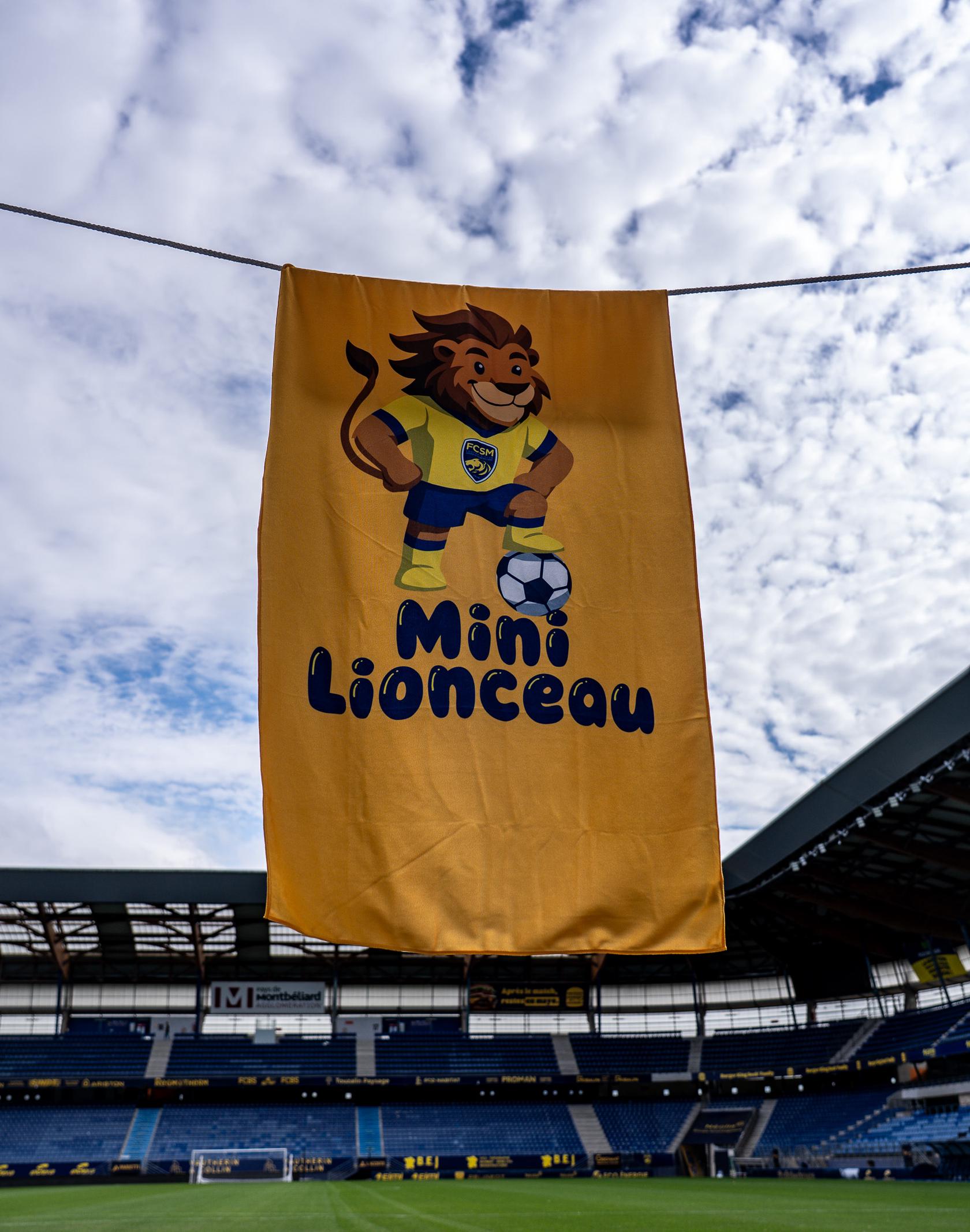 SERVIETTE DE PLAGE - MINI LIONCEAU