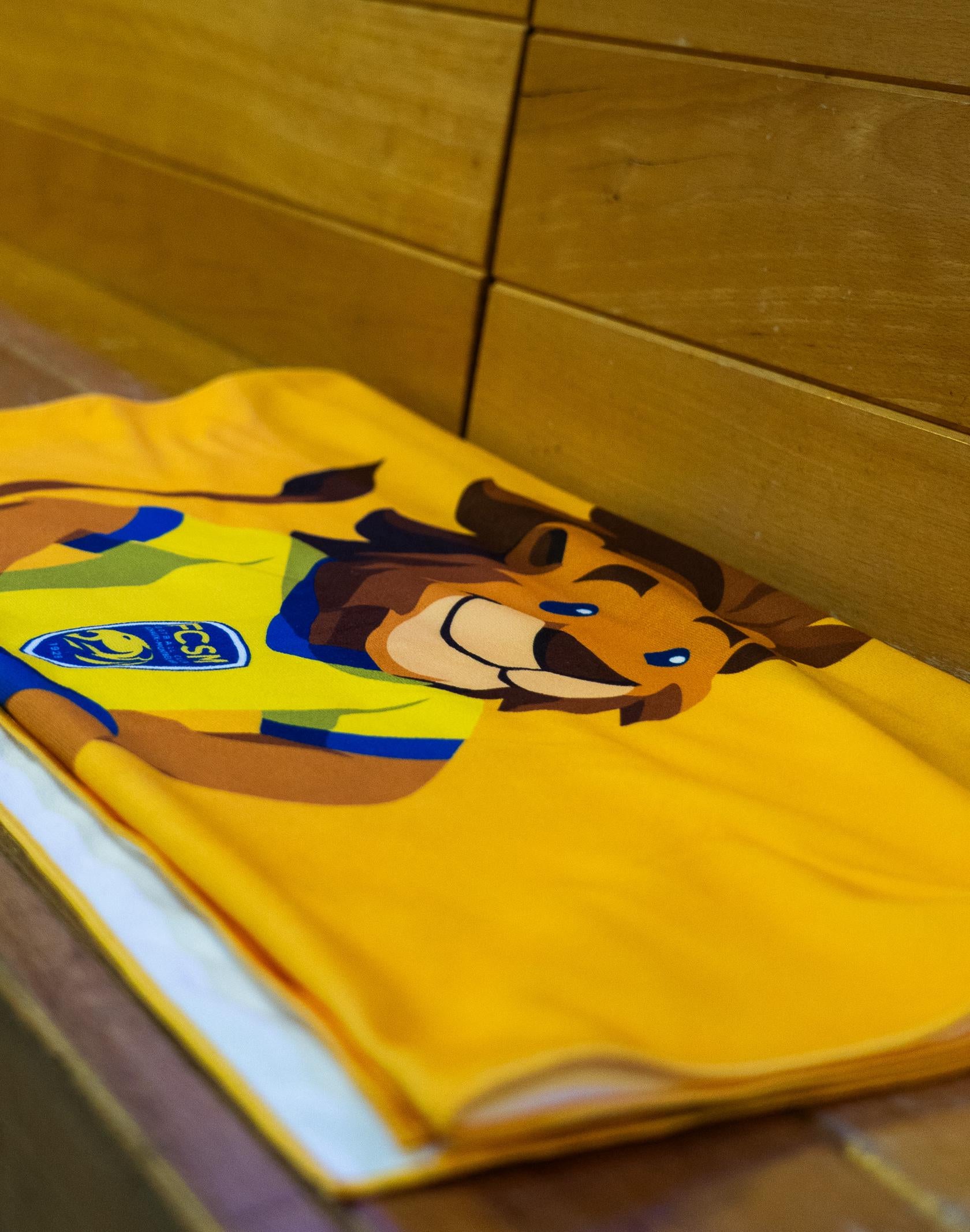 SERVIETTE DE PLAGE - MINI LIONCEAU
