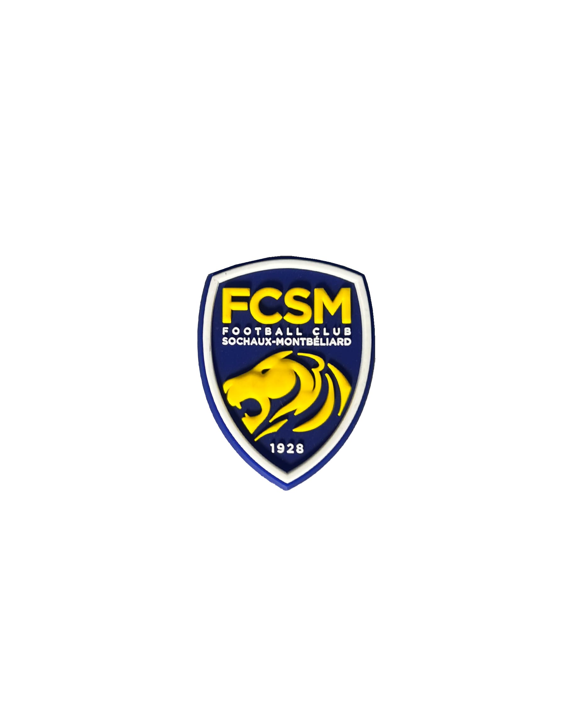 MAGNET FCSM