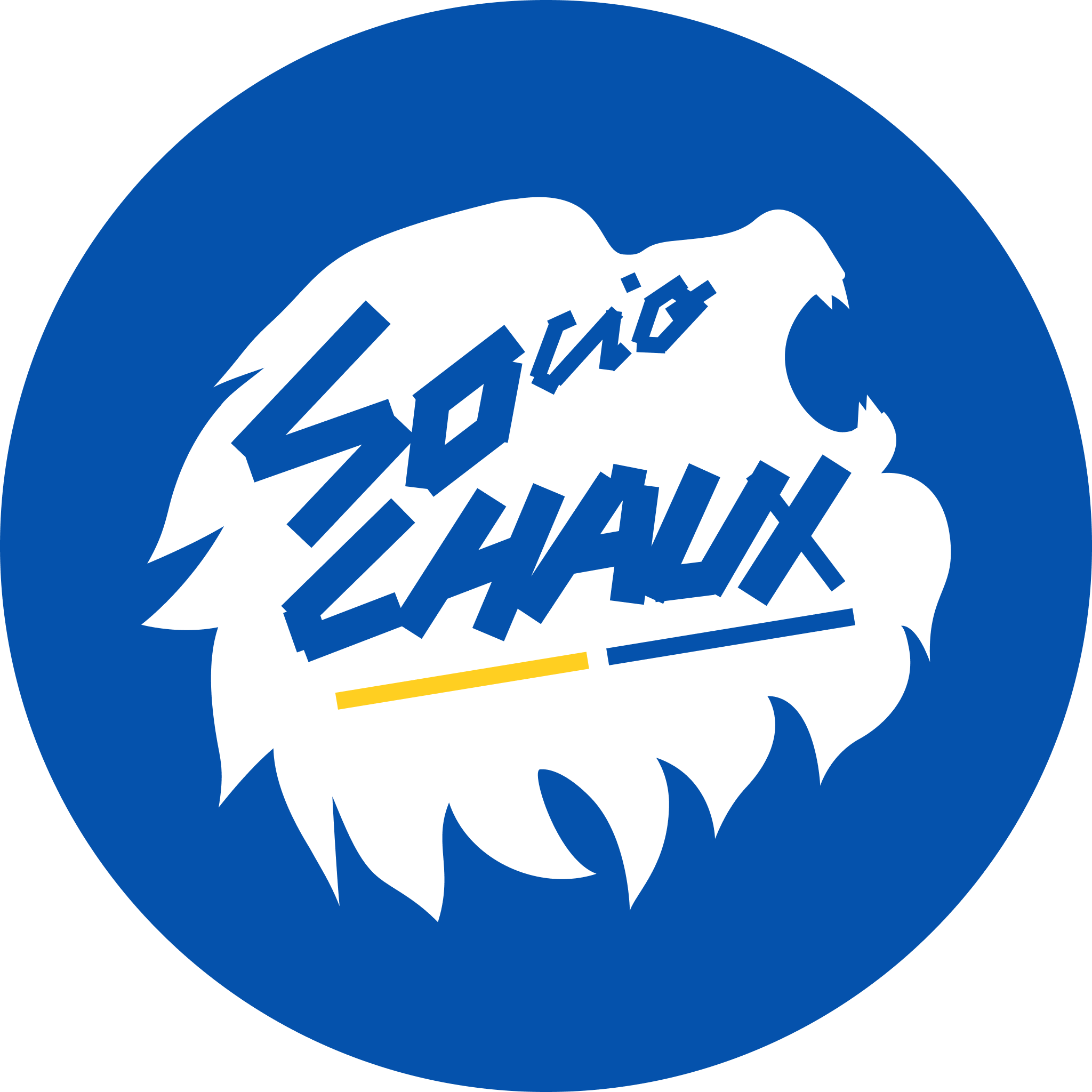 Sociochaux