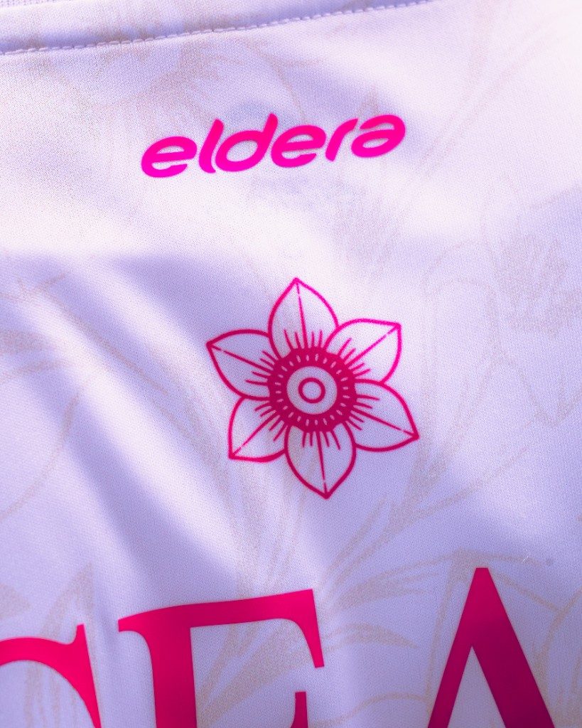 Le groupe en maillot Octobre Rose sur la pelouse, un joueur lève le pouce