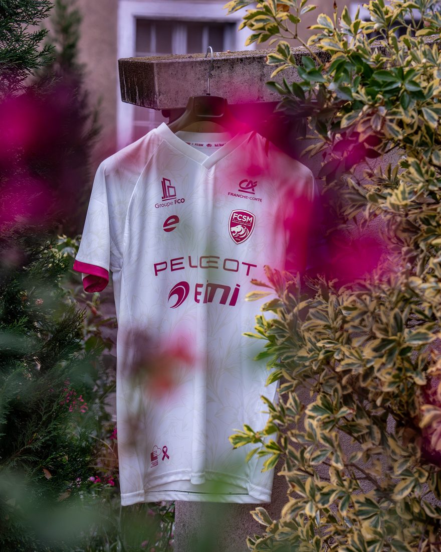Le groupe au maillot Octobre Rose, debout dans les tribunes
